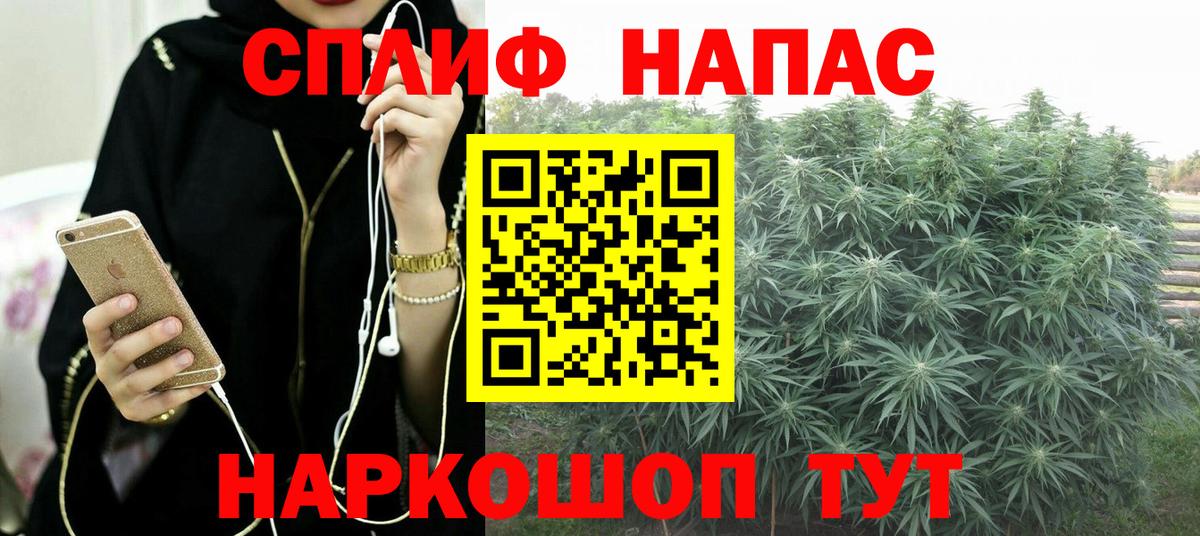 Бошки Шишки тримм  Вход с VPN  Шишки марихуана планчик  Бошки Шишки VHQ  Миллерово 